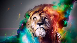 Lion colorful mane rainbow swirls - a white line free wallpaper for desktop