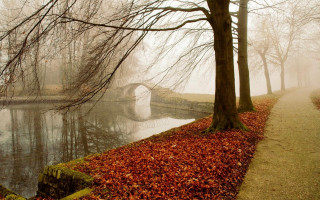 Bridge river trees leaves fog - a bridge over a river free wallpaper