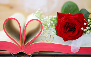 Romantic book heart ring rose - bracha l. ettinger free wallpaper