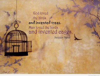 Bird cage quote god loved - god free wallpaper