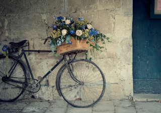 Bicycle basket flowers parked wall - a bicycle free wallpaper