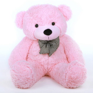 Pink teddy bear bow tie - david young cameron free wallpaper for tablet