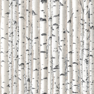 White trees black trunks background - free forest wallpaper for tablet