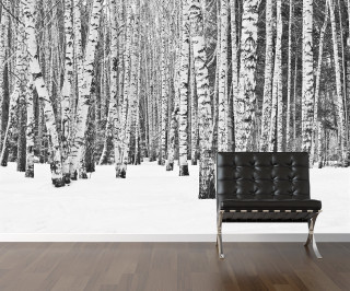 Black white forest snow bench - photo of a forest free wallpaper