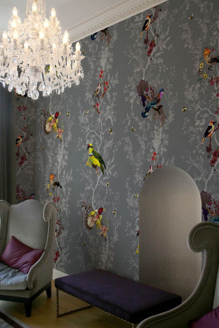 Chandelier chair couch bird wallpaper - gaudy free wallpaper for mobile