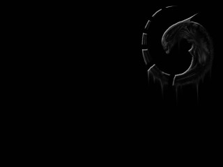 Alien head black white photo - alien free wallpaper for desktop