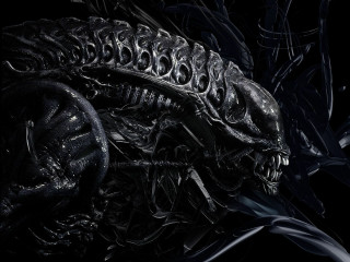 Black alien sharp teeth armor - a large head free wallpaper