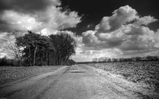 Dirt road trees clouds bw - a dirt road free wallpaper