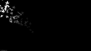 Black white stars minimalist monochrome - photo of a bunch free wallpaper
