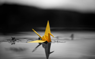 Yellow origami bird floating water - a few other thing free wallpaper