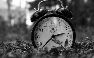 Black white alarmclock grass blurry - a blurry background of trees and bushes free wallpaper for desktop