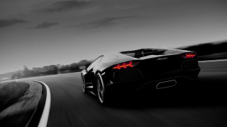 Black white sports car tail - the tail free wallpaper
