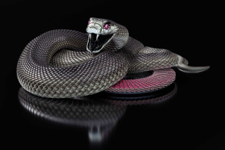 Snake pink stripe black background - a pink stripe free wallpaper
