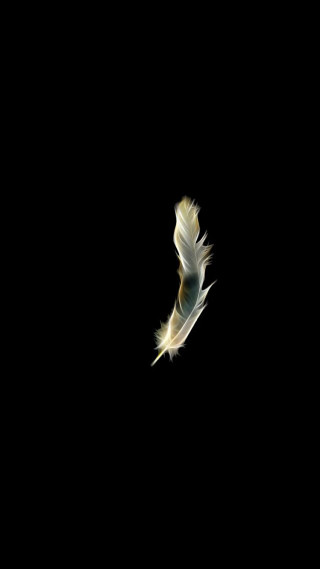 White bird flying dark wings - figuration libre free wallpaper for mobile