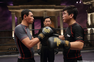 Boxing ring men black shirt - gutai group free wallpaper for desktop