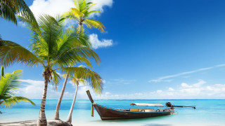 Boat beach palm trees blue 3 - felipe seade free wallpaper