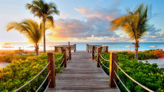 Wooden walkway beach palm trees 4 - side of it free wallpaper