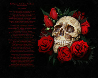 Skull roses black background poem - a poem free wallpaper