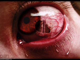Close up red eye building - a close up of a persons eye free wallpaper for desktop