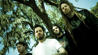 Men group tree long hair - top of them free wallpaper