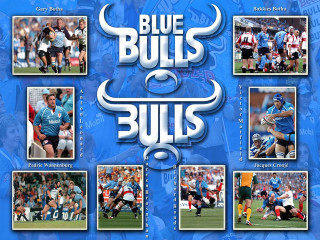 Blue bulls football team player - bruce onobrakpeya free wallpaper