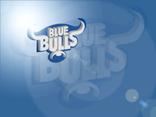 Blue bulls logo blue background - douglas robertson bisset free wallpaper