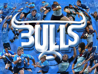 Bulls football team blue poolside - logo free wallpaper