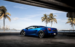 Blue sports car parking palm - a parking lot next free wallpaper