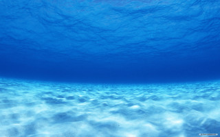 Blue ocean deep water small - the bottom of the water free wallpaper