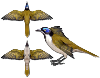 Bird wings spread owl parrot - charles bird king free wallpaper