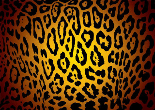 Leopard yellow black red border - a yellow center free wallpaper