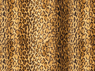 Leopard print fabric brown black - texture free wallpaper