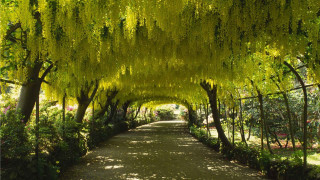 Walkway trees flowers park area - a park area free wallpaper