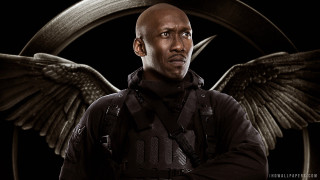 Bald man wings chest black - a bald head free wallpaper