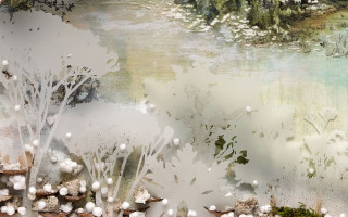 Forest white flowers trees blue - ellen gallagher free wallpaper