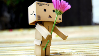 Toy flower amazon logo hand - cicely free wallpaper