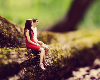 Miniature man woman mossy log - tiny free wallpaper