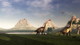 Dinosaurs walking field mountains bird - the background and a bird free wallpaper
