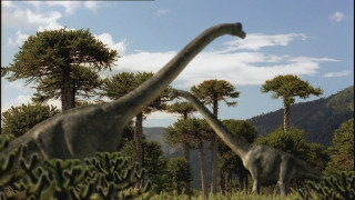 Dinosaurs field trees bushes sky - the background and a sky background free wallpaper