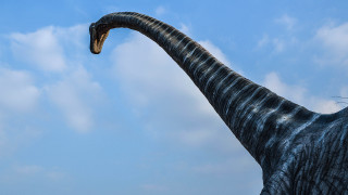 Large dinosaur statue long neck - upper body free wallpaper for desktop