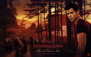 Man forest animals sunset background - a group of animals free wallpaper