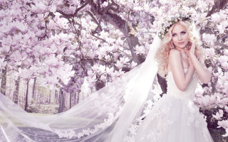 Wedding dress woman tree flowers - a woman in a wedding dress free wallpaper