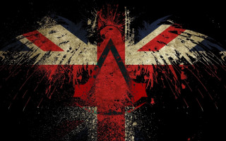 Grungy british flag bird black - british free wallpaper