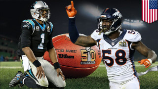 Football players grass ball flag - a football free wallpaper