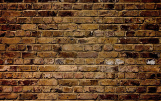 Brick wall white cat sitting - texture free wallpaper