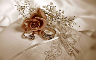 Rose wedding rings white satin - ring free wallpaper