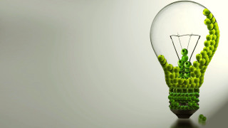 Light bulb green plant tabletop - a light bulb free wallpaper for desktop