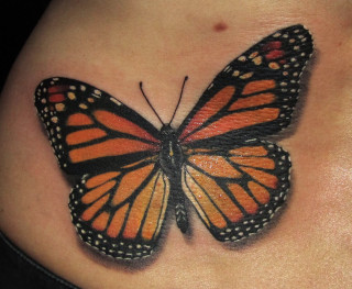 Butterfly tattoo woman stomach body - realistic free wallpaper