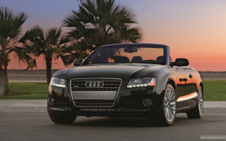 Black convertible car sunset palm - convertible free wallpaper for desktop