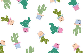Cactus watermelon potted plant vector - vector art free wallpaper